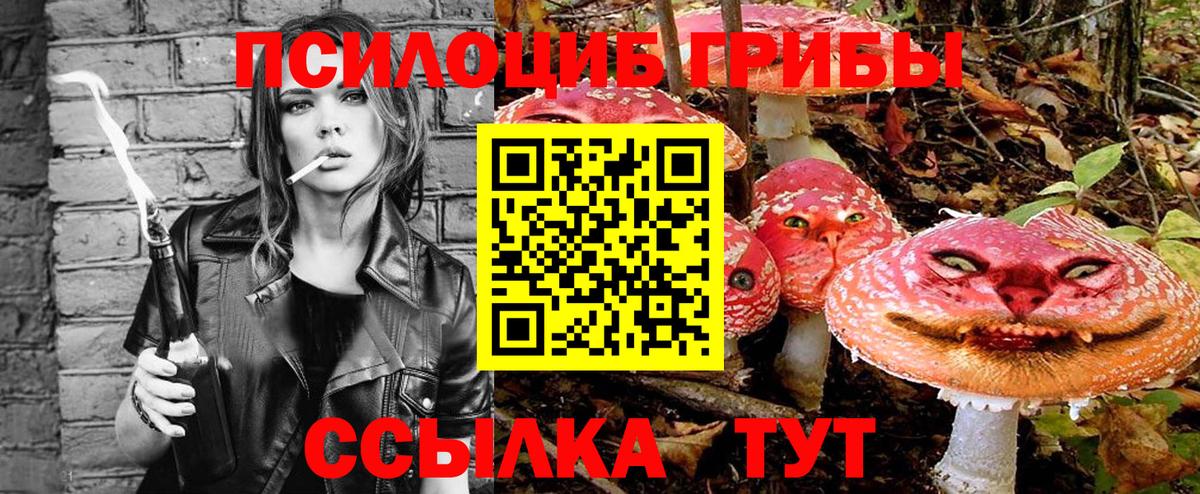Псилоцибиновые грибы Psilocybine cubensis Изобильный
