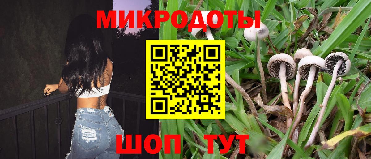 Псилоцибиновые грибы прущие грибы  Галлюциногенные грибы мицелий  Изобильный  Вход с VPN 